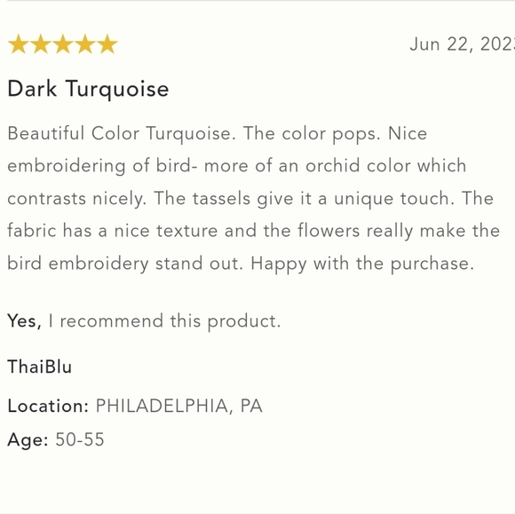 Anthropologie Tassled Perla Bird Pillow - Turquoise - Picture 6 of 14